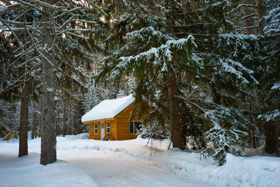 construction de chalet en bois