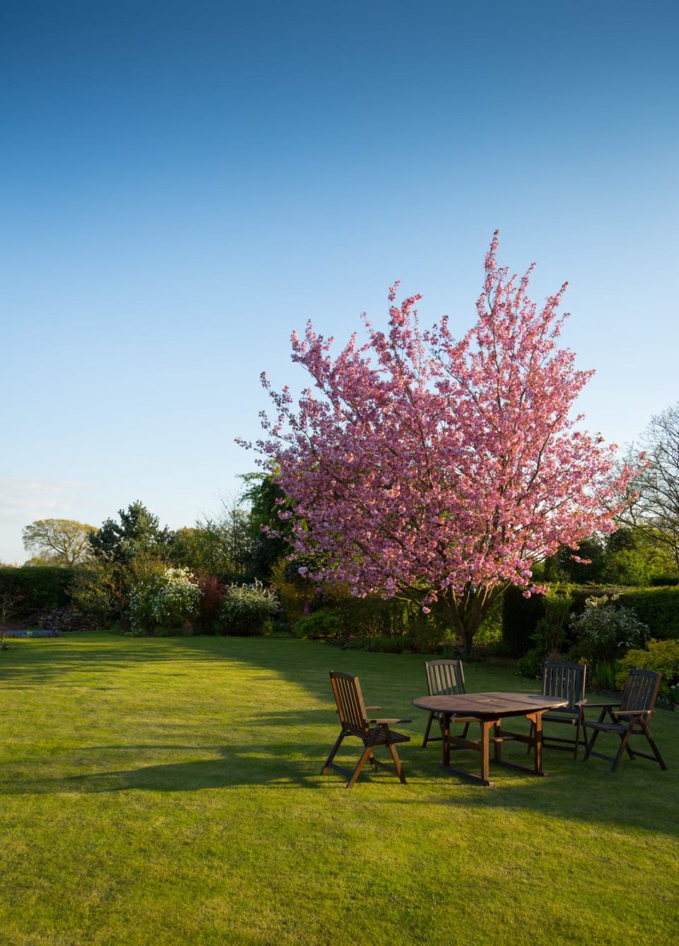 aménager votre jardin