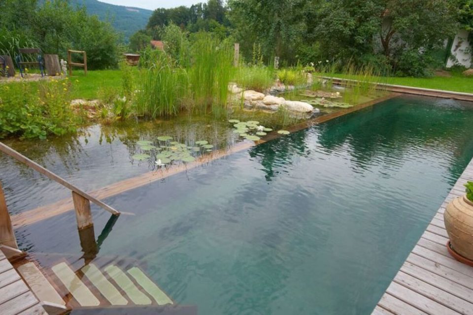 Piscine naturelle